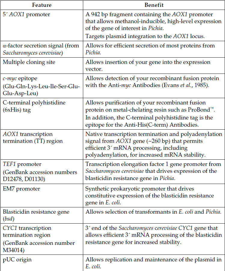 pPIC6αB 载体特征